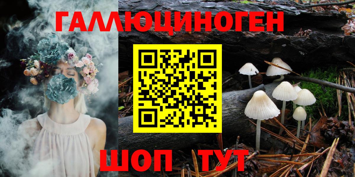 дарнет шоп  Псилоцибиновые грибы Psilocybe  Вход с VPN  Зерноград 