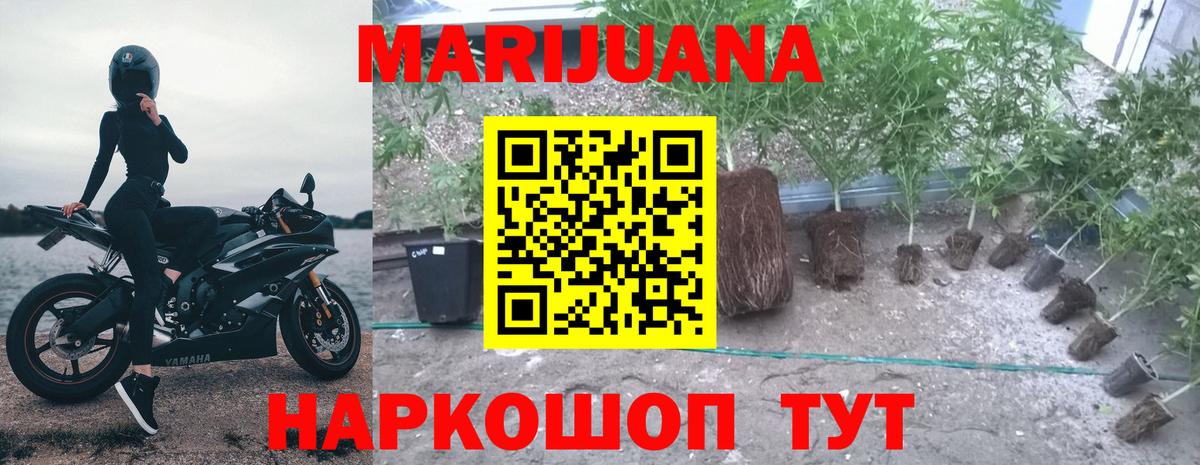 Бошки марихуана MAZAR Зерноград